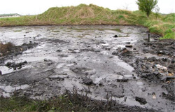 In-situ bioremedijacija