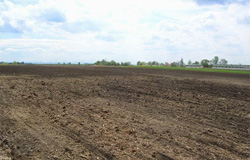 In-situ bioremedijacija